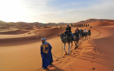Fes Desert tour and Marrakech in 7 Days