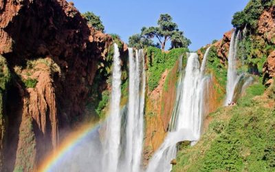 Excursion from marrakech to THE BEST WATERFALLS Ouzoud for 1 day
