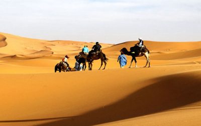 Casablanca Tours Souks & Camels 8 days